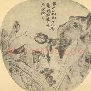 清代 赵之谦国画作品《万年青图》摘自 南画大成 续集三