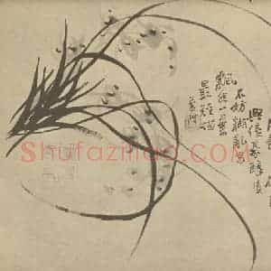 清代 汤燮国画作品《兰》摘自 南画大成 卷二