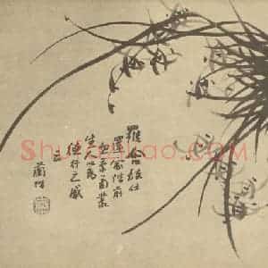 清代 汤燮国画作品《兰》摘自 南画大成 卷二