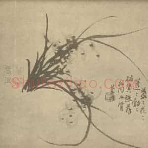 清代 汤燮国画作品《兰》摘自 南画大成 卷二