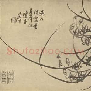清代 汤燮国画作品《兰》摘自 南画大成 卷二
