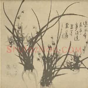 清代 汤燮国画作品《兰》摘自 南画大成 卷二