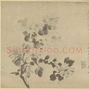 明代 徐渭国画作品《菊》摘自 南画大成 卷二