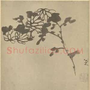 清代 朱耷国画作品《菊》摘自 南画大成 卷二