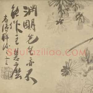 清代 释道济国画作品《菊》摘自 南画大成 卷二