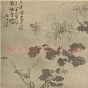 清代 释道济国画作品《菊》摘自 南画大成 卷二