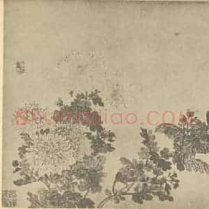 清代 恽寿平国画作品《菊》摘自 南画大成 卷二