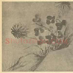 清代 边寿民国画作品《菊石》摘自 南画大成 卷二