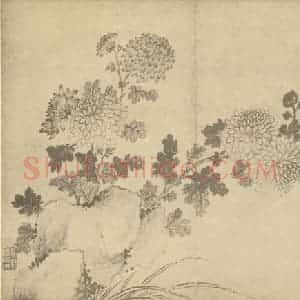 清代 蒋廷锡国画作品《菊石》摘自 南画大成 卷二