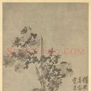 清代 李鳝国画作品《菊》摘自 南画大成 卷二