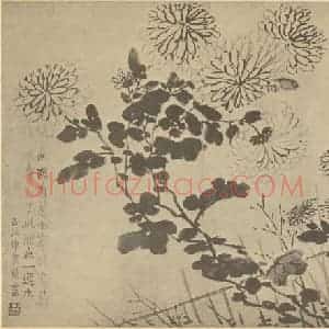 清代 金农国画作品《篱菊》摘自 南画大成 卷二