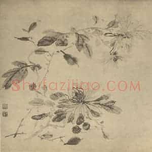 清代 尤英国画作品《菊》摘自 南画大成 卷二