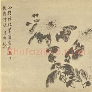 清代 王学浩国画作品《菊》摘自 南画大成 卷二