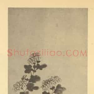 清代 吴熙载国画作品《菊石》摘自 南画大成 卷二