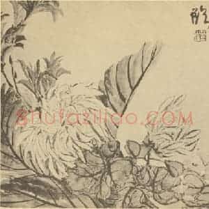 清代 赵之谦国画作品《菊》摘自 南画大成 卷二