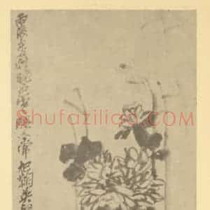 清代 吴昌硕国画作品《菊石》摘自 南画大成 卷二