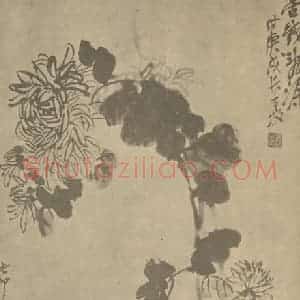 清代 吴昌硕国画作品《菊(镫)》摘自 南画大成 卷二