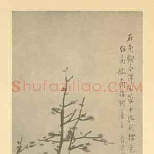 清代 吴淑娟国画作品《篱菊》摘自 南画大成 卷二
