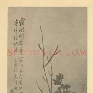 清代 吴淑娟国画作品《菊》摘自 南画大成 卷二