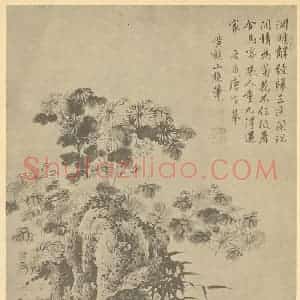 明代 唐寅国画作品《竹菊石》摘自 南画大成 卷二