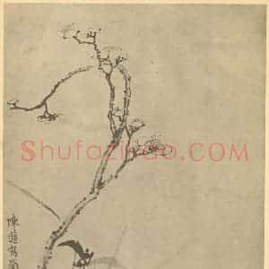 清代 金俊明国画作品《梅 陈薖 兰》摘自 南画大成 卷二
