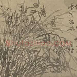 清代 瞿应绍国画作品《兰》摘自 南画大成 卷二