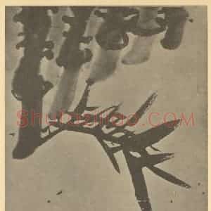 清代 瞿应绍国画作品《竹》摘自 南画大成 卷二
