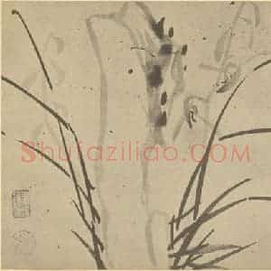 清代 张焕棠国画作品《兰石》摘自 南画大成 卷二