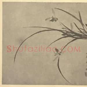 清代 释寒泉国画作品《兰》摘自 南画大成 卷二