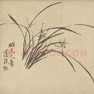 清代 释真然国画作品《兰》摘自 南画大成 卷二