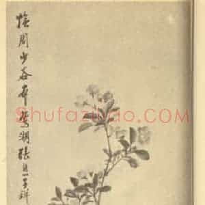 清代 张熊国画作品《仿周少谷花卉》摘自 南画大成 续集四·补遗