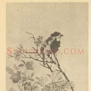 清代 任颐国画作品《花鸟图》摘自 南画大成 续集四·补遗