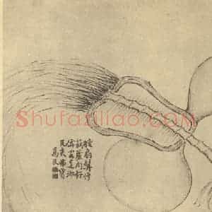 清代 边寿民国画作品《蔬果器物杂画图(七)》摘自 南画大成 续集四·补遗