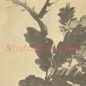 清代 胡璋国画作品《枇杷·荔枝》摘自 南画大成 续集四·补遗
