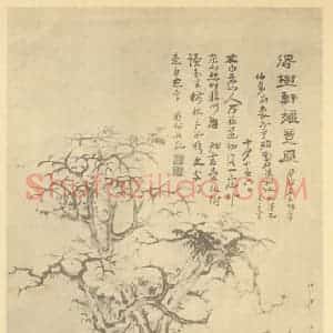 清代 高凤翰国画作品《得树轩秋意图》摘自 南画大成 续集四·补遗