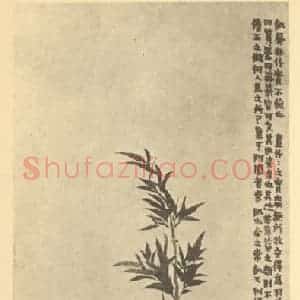 清代 金农国画作品《画竹》摘自 南画大成 续集四·补遗