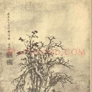 清代 张鹏翀国画作品《新篁秃树图》摘自 南画大成 续集四·补遗