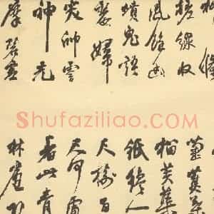 明代 徐渭·墨笔花卉卷·翁方纲题跋(一)
