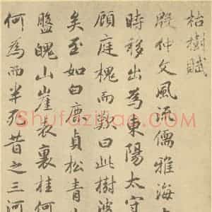 元代 赵孟俯·枯树图页·赵孟俯临题跋(一)