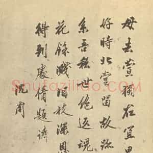明代 张灵·花卉卷·沈周题跋