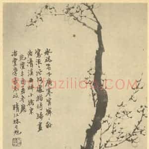 清代 林令旭国画作品《梅花(八)》摘自 南画大成 卷三