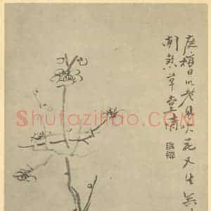 清代 陈撰国画作品《梅花》摘自 南画大成 卷三