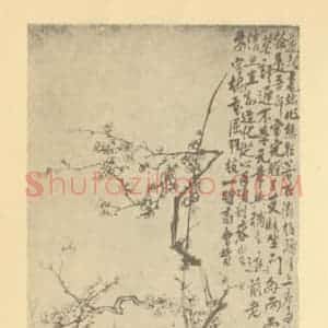 清代 李鳝国画作品《梅花》摘自 南画大成 卷三