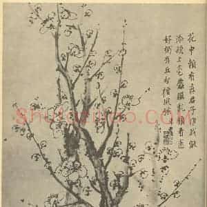 清代 项奎国画作品《梅花》摘自 南画大成 卷三
