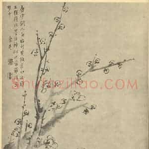 清代 项奎国画作品《梅花》摘自 南画大成 卷三