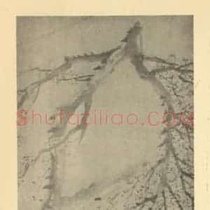 清代 金农国画作品《梅花》摘自 南画大成 卷三