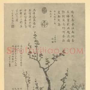 清代 董诰国画作品《梅花》摘自 南画大成 卷三