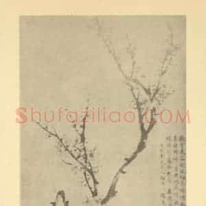 清代 赵秉冲国画作品《梅花》摘自 南画大成 卷三