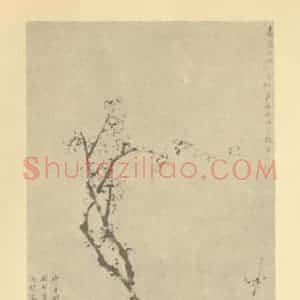 清代 蒋敬国画作品《梅花》摘自 南画大成 卷三