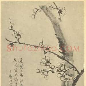 清代 顾鹤庆国画作品《梅花》摘自 南画大成 卷三